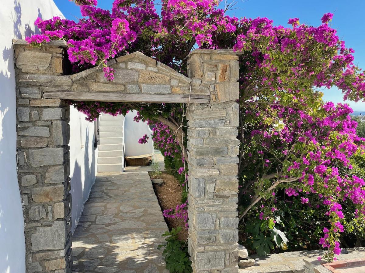 Villa Zeus - Parikia - Paros - Grece Krotiri Esterno foto